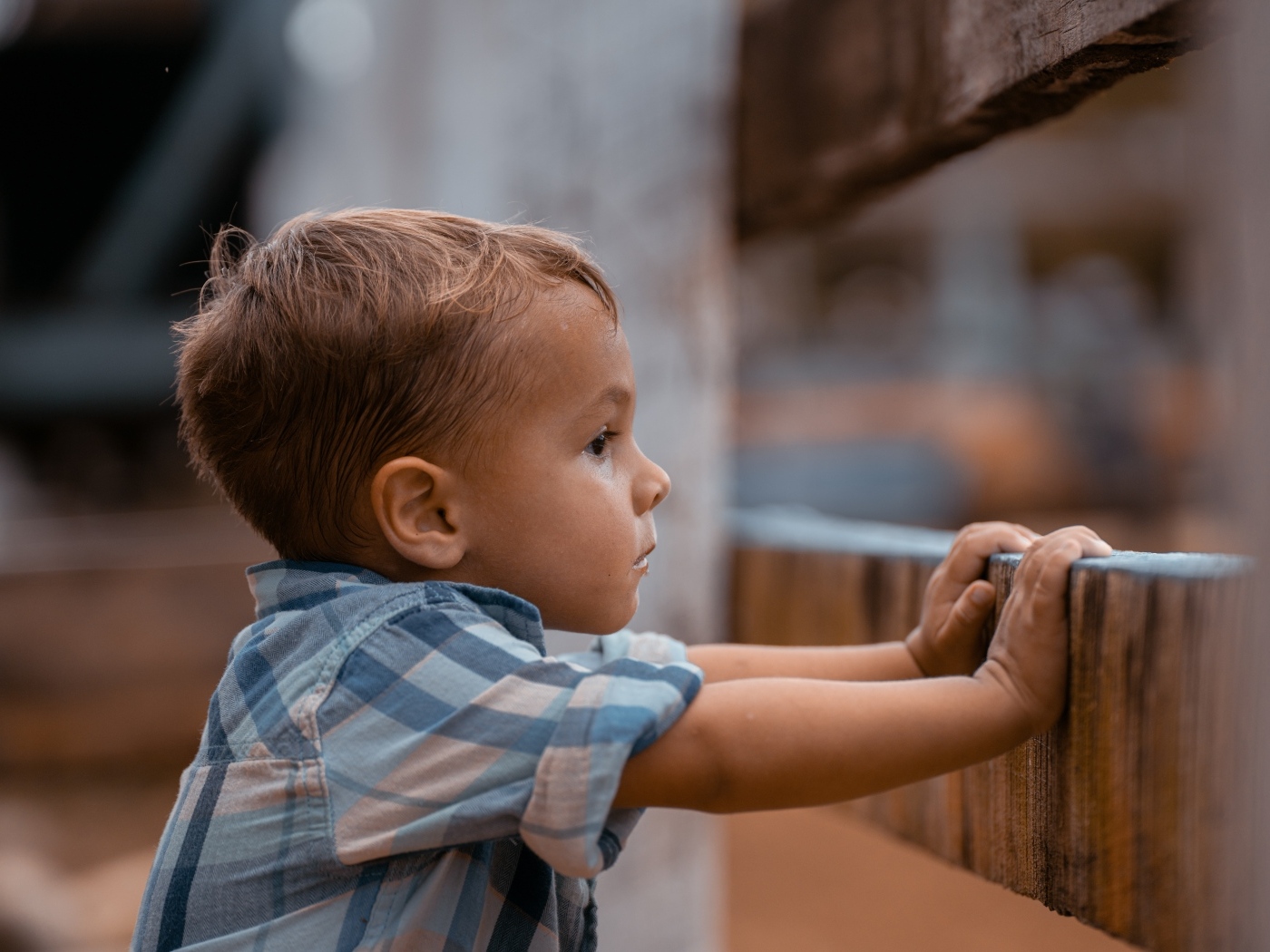 Любопытный мальчик в рубашке