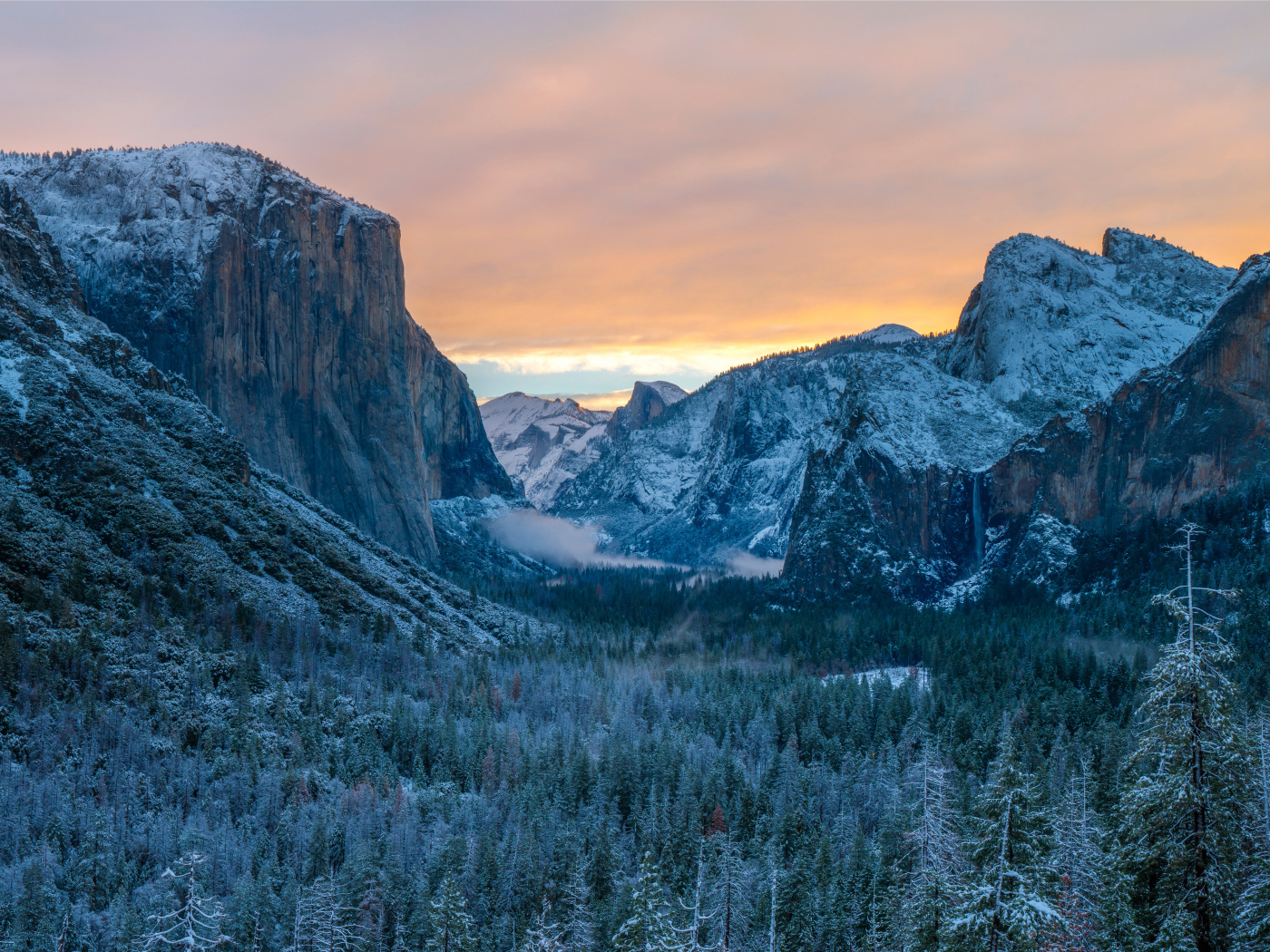 Вид на заснеженные горы и лес в национальном парке США