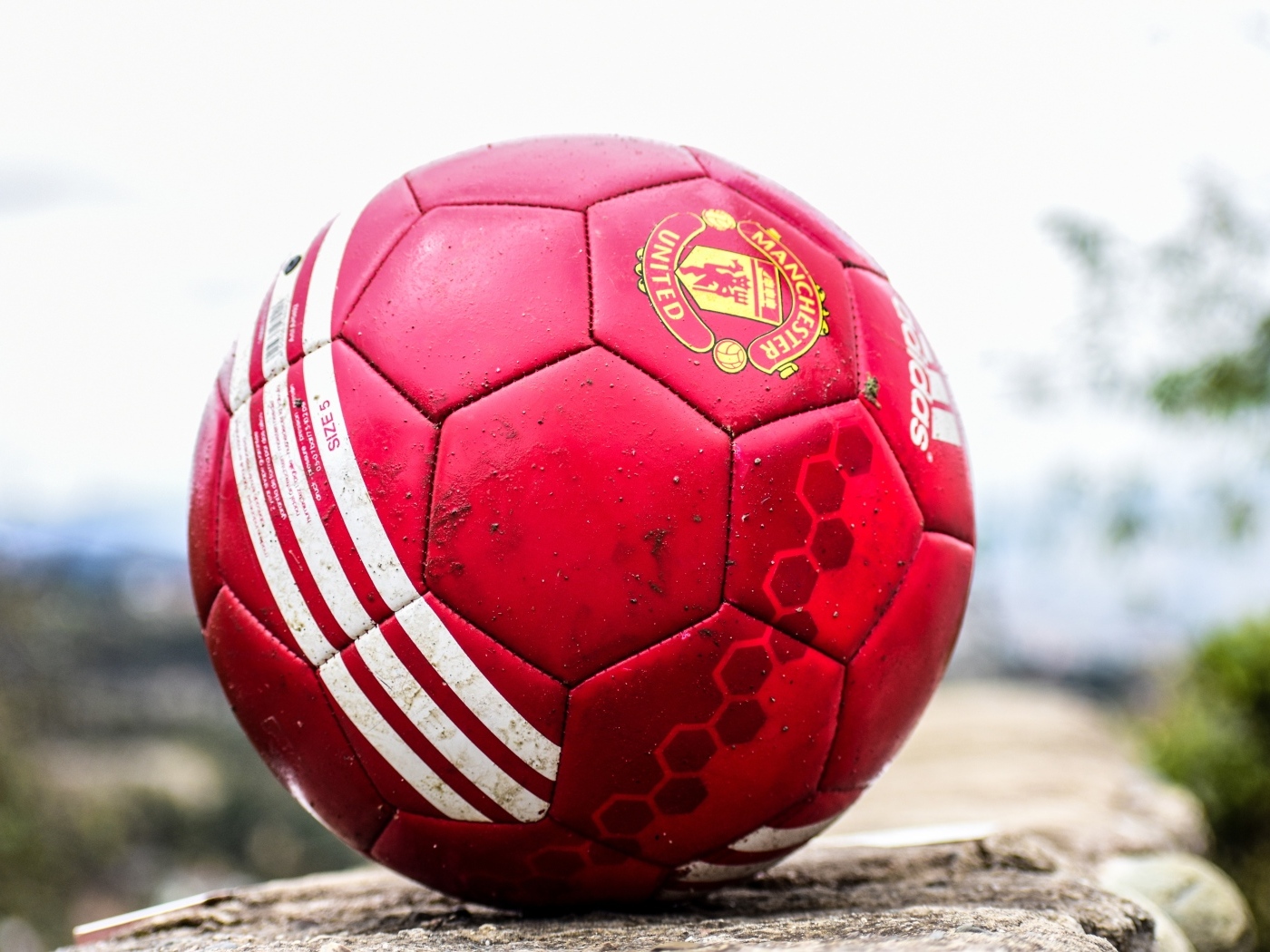 Красный футбольный мяч лежит на камне