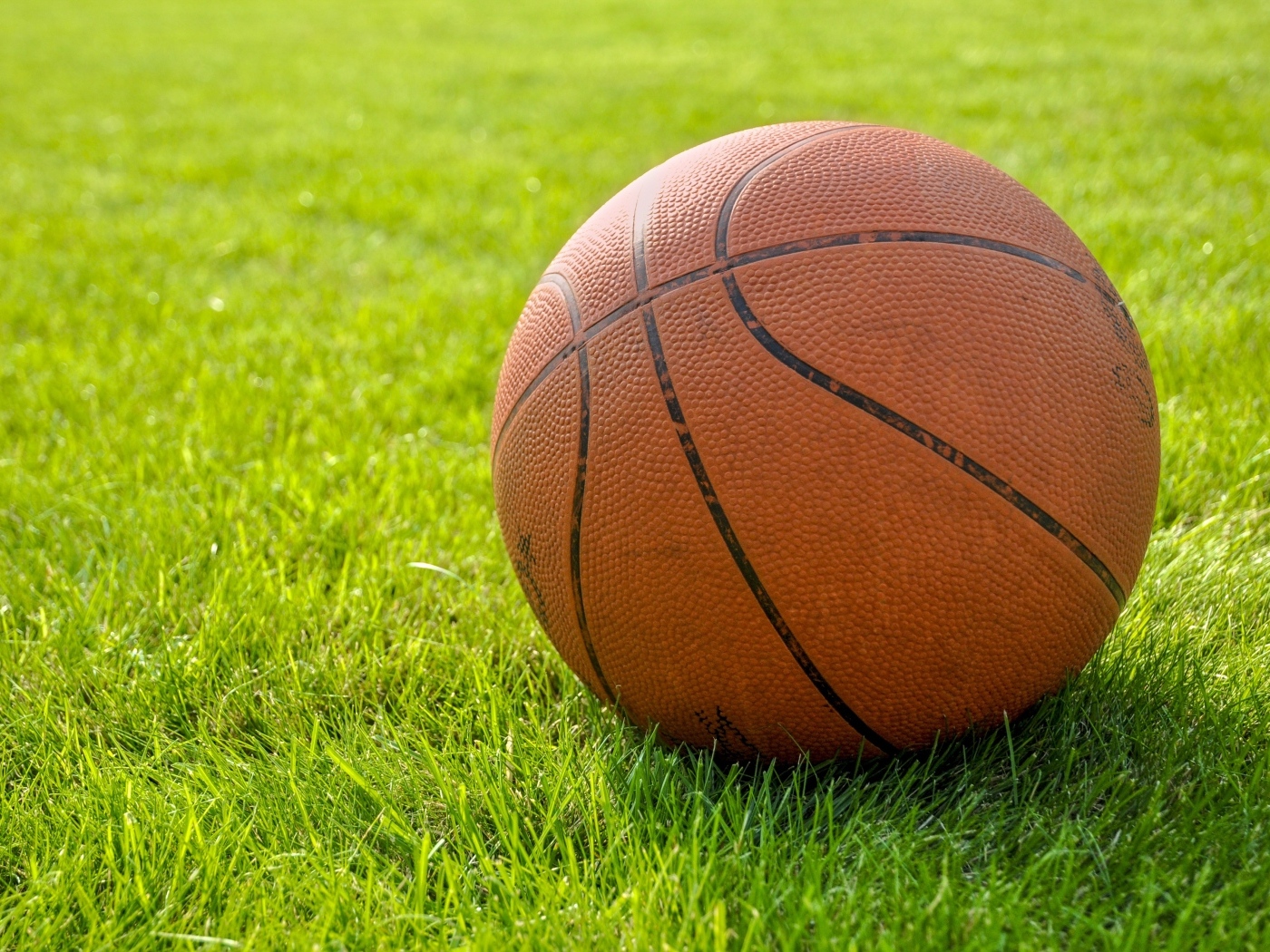Коричневый кожаный баскетбольный мяч на зеленой траве