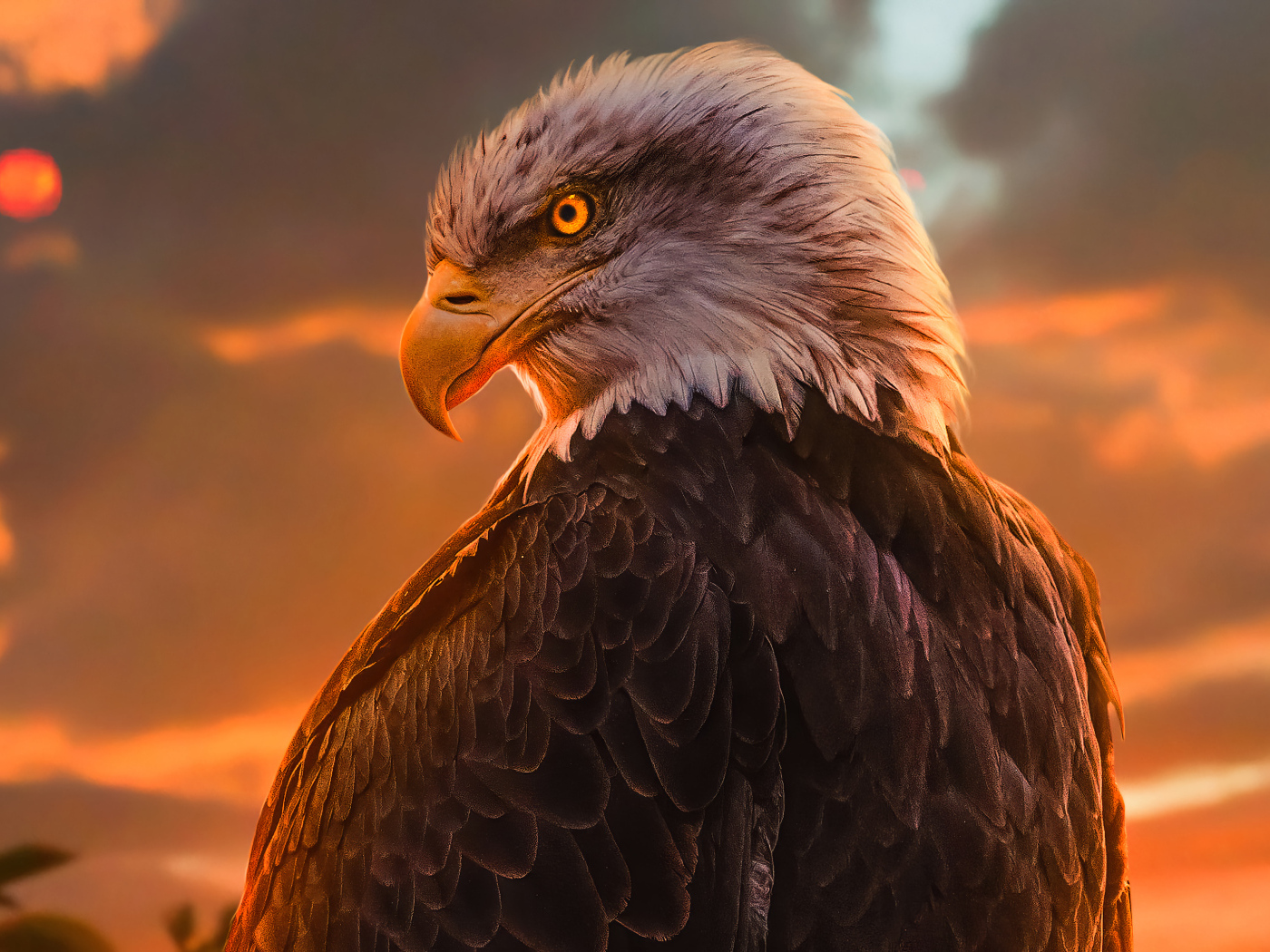 Большой хищный орел с яркими глазами