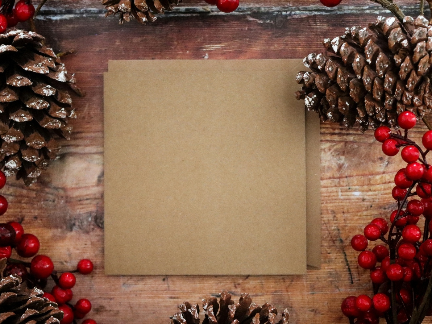 Лист бумаги с шишками и ягодами шаблон открытки