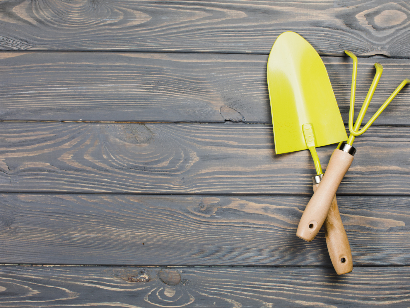 Желтые садовые принадлежности на деревянном фоне