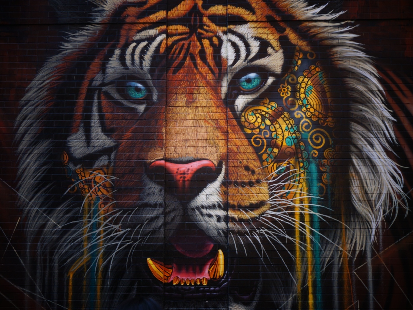 Нарисованное граффити тигра на стене