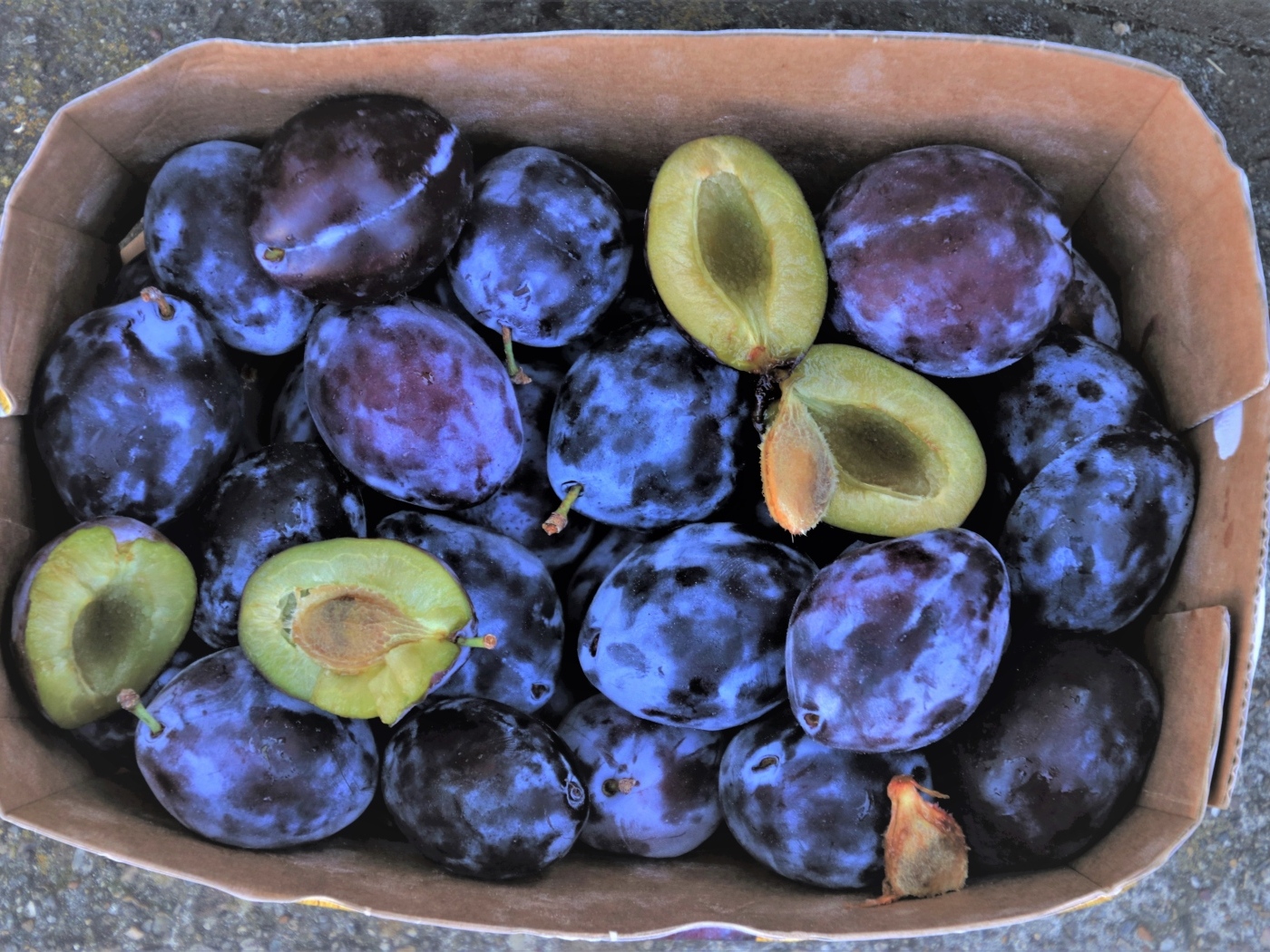 Синие сливы в коробке 