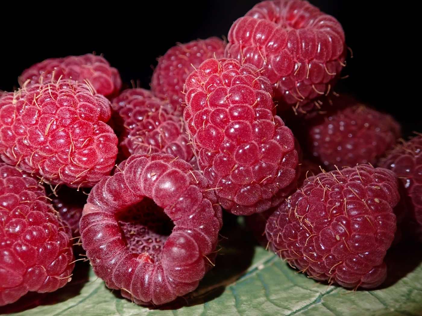 Крупная сочная красная малина 