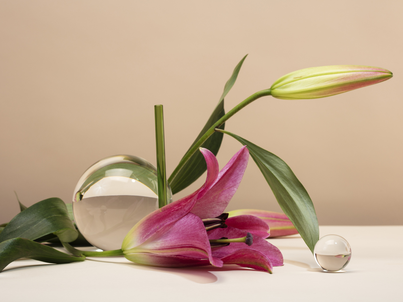 Розовая лилия со стеклянными шарами на коричневом фоне