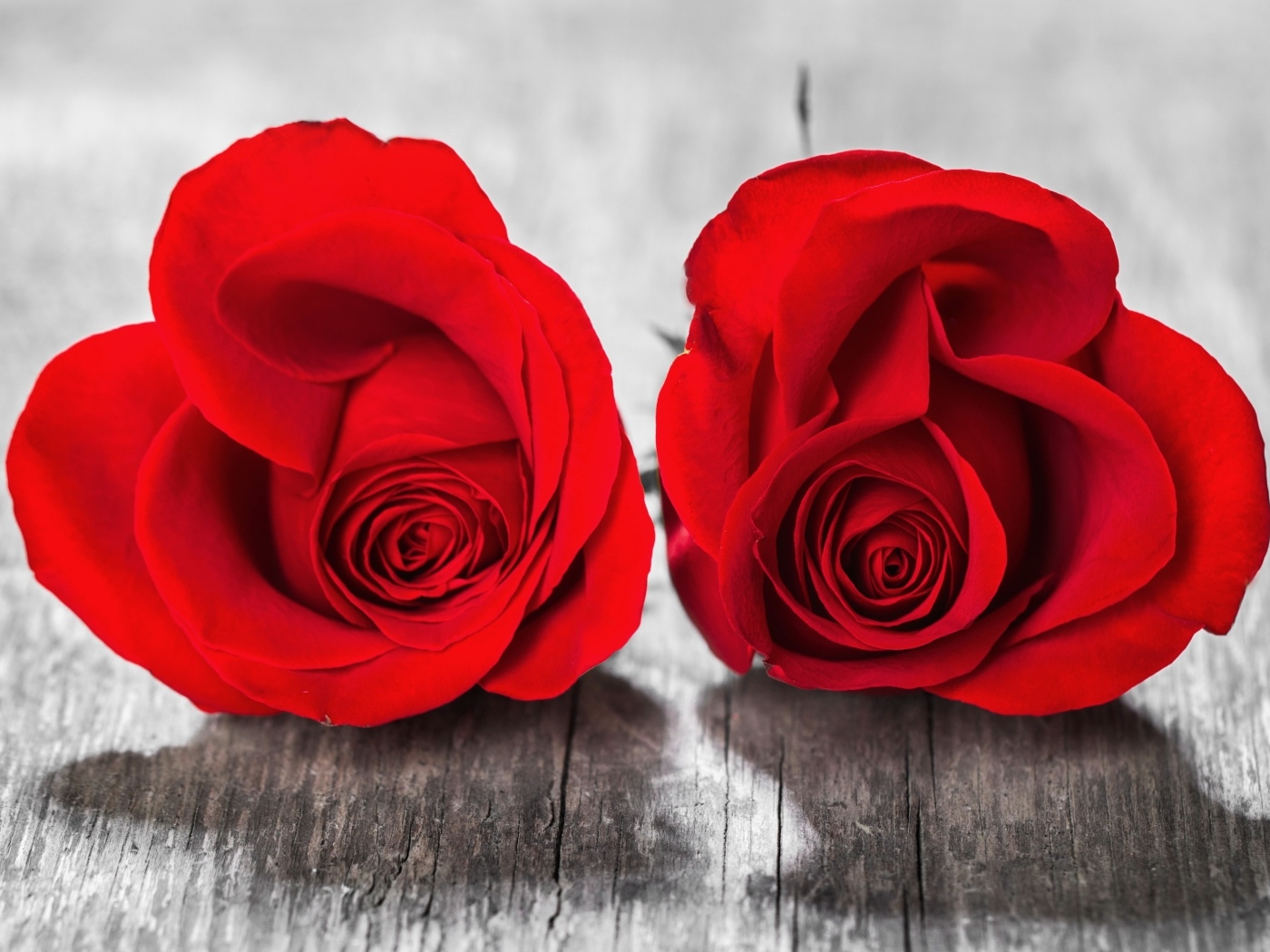 Две красные розы на деревянном столе