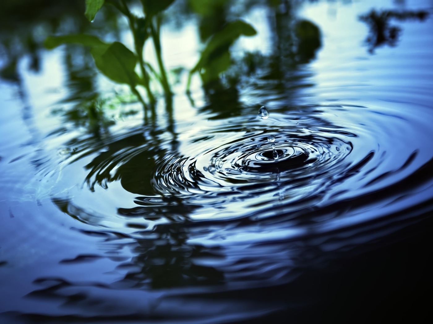 Круги и брызги на воде 