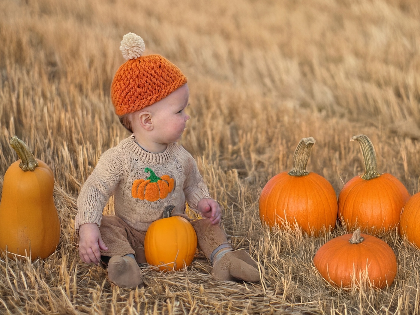 Маленький ребенок сидит на поле с тыквами