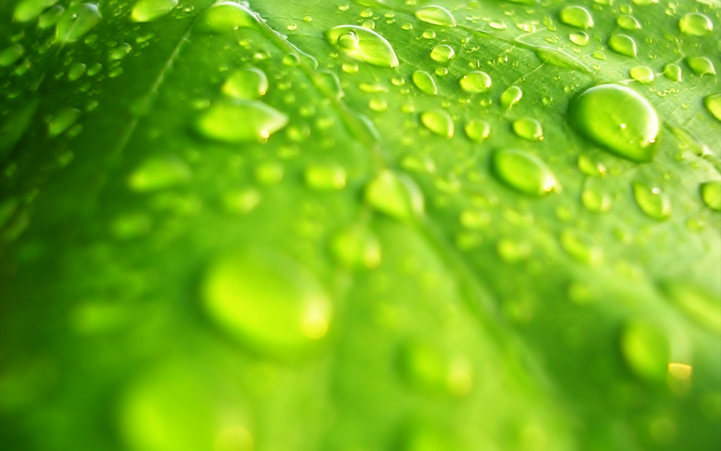 Windows Vista - обои на рабочий стол