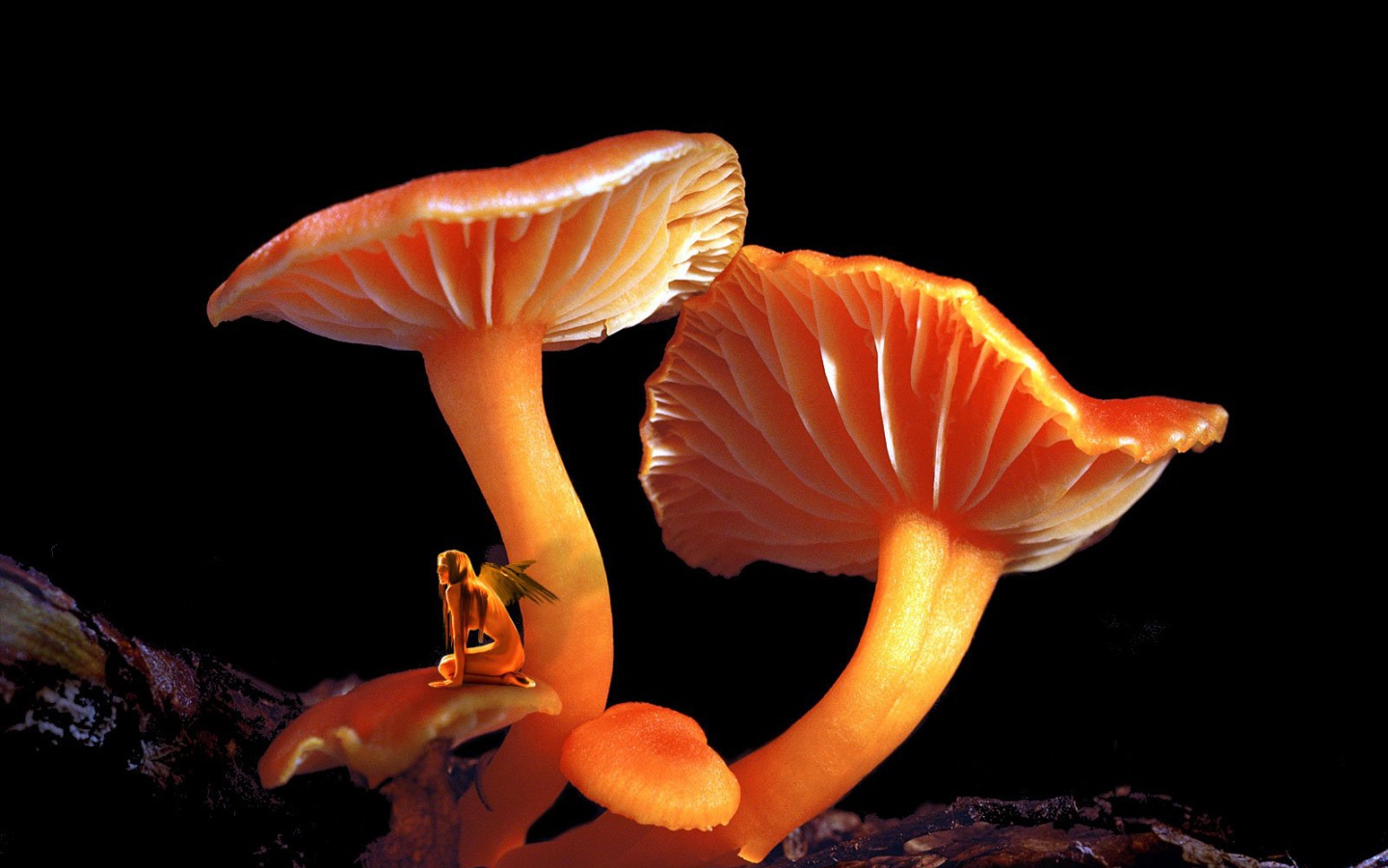 Грибной Эльф