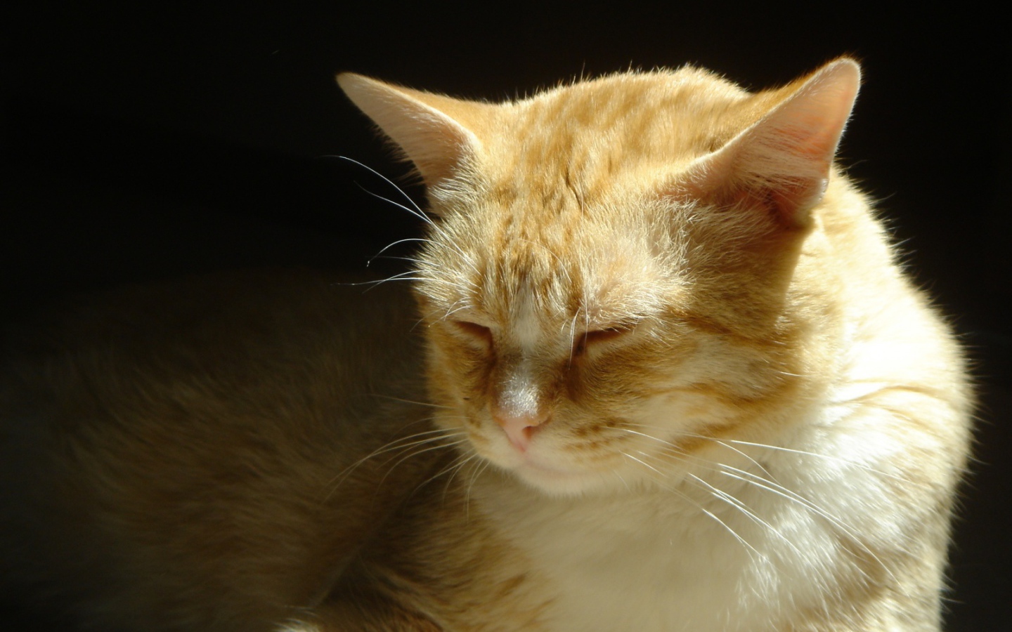 Нежные чувства