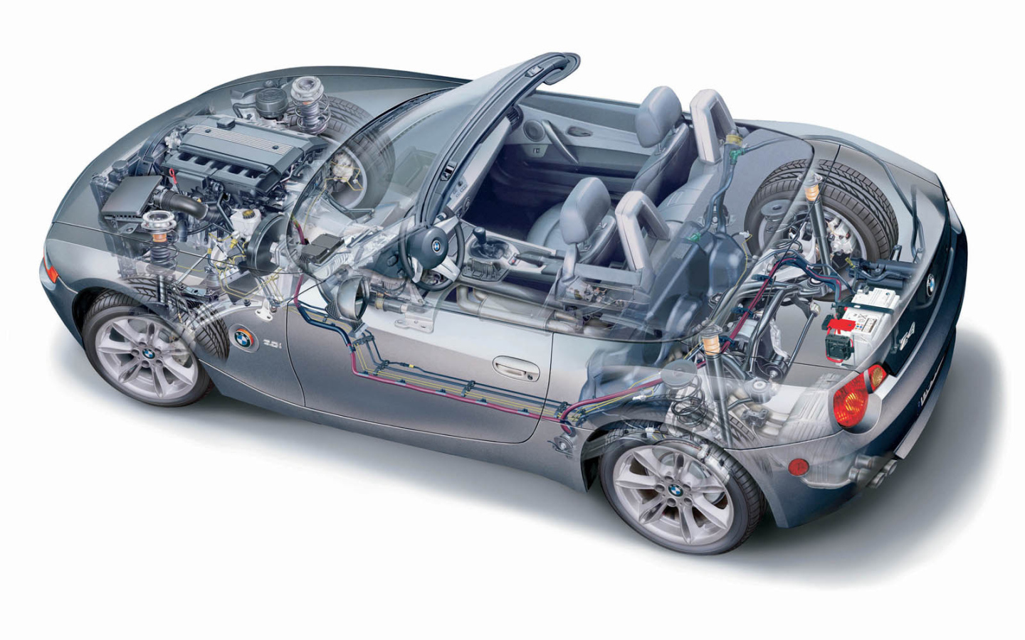 Z4 Organic рисунок