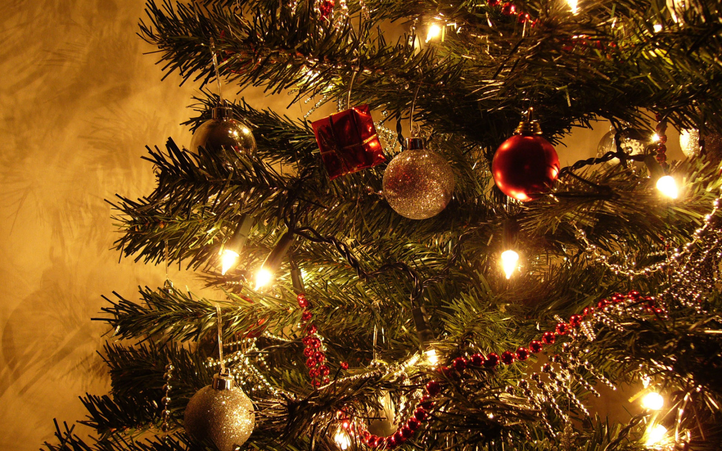 Spruce tree / Christmas