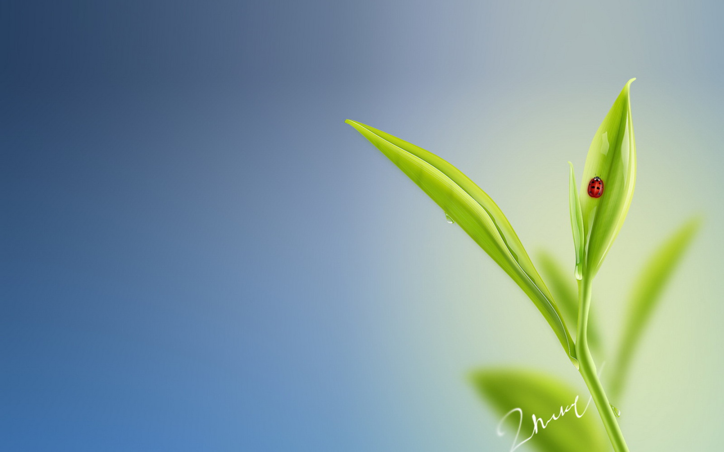 Божья коровка