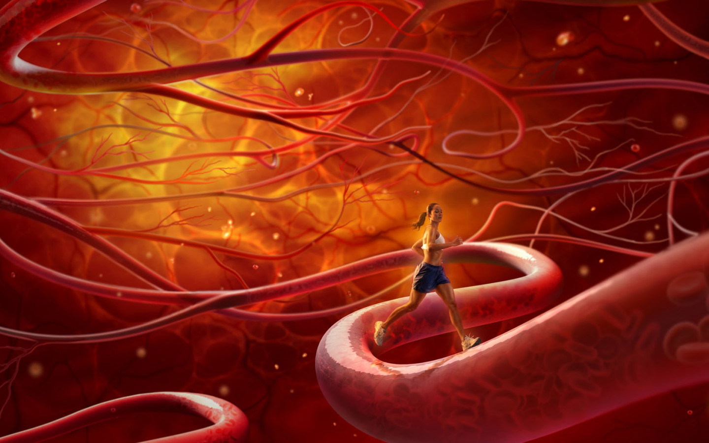 Тренировка