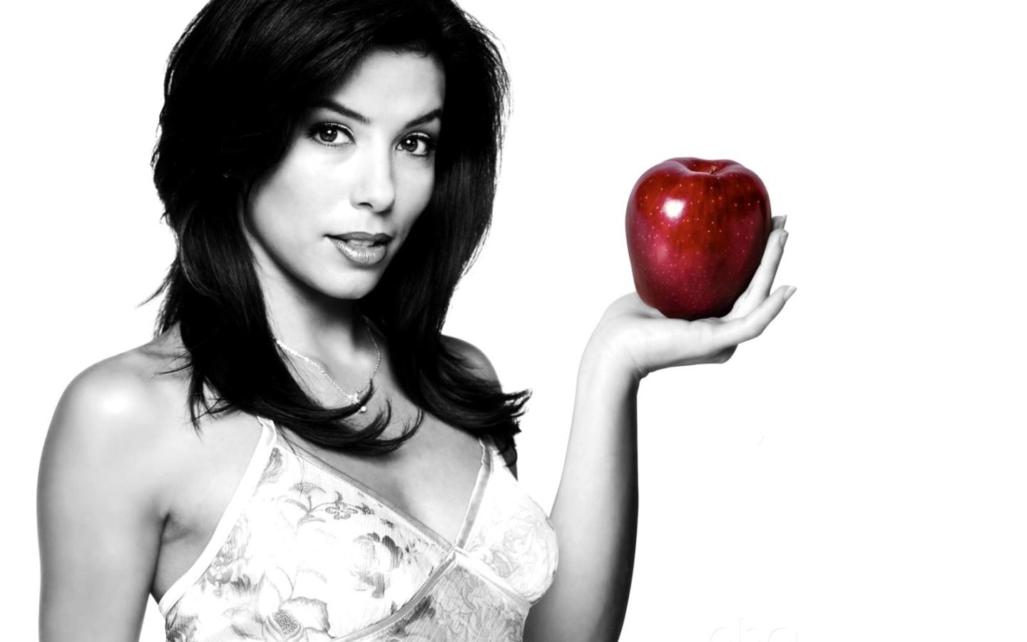 Отчаянные домохозяйки / Desperate Housewives