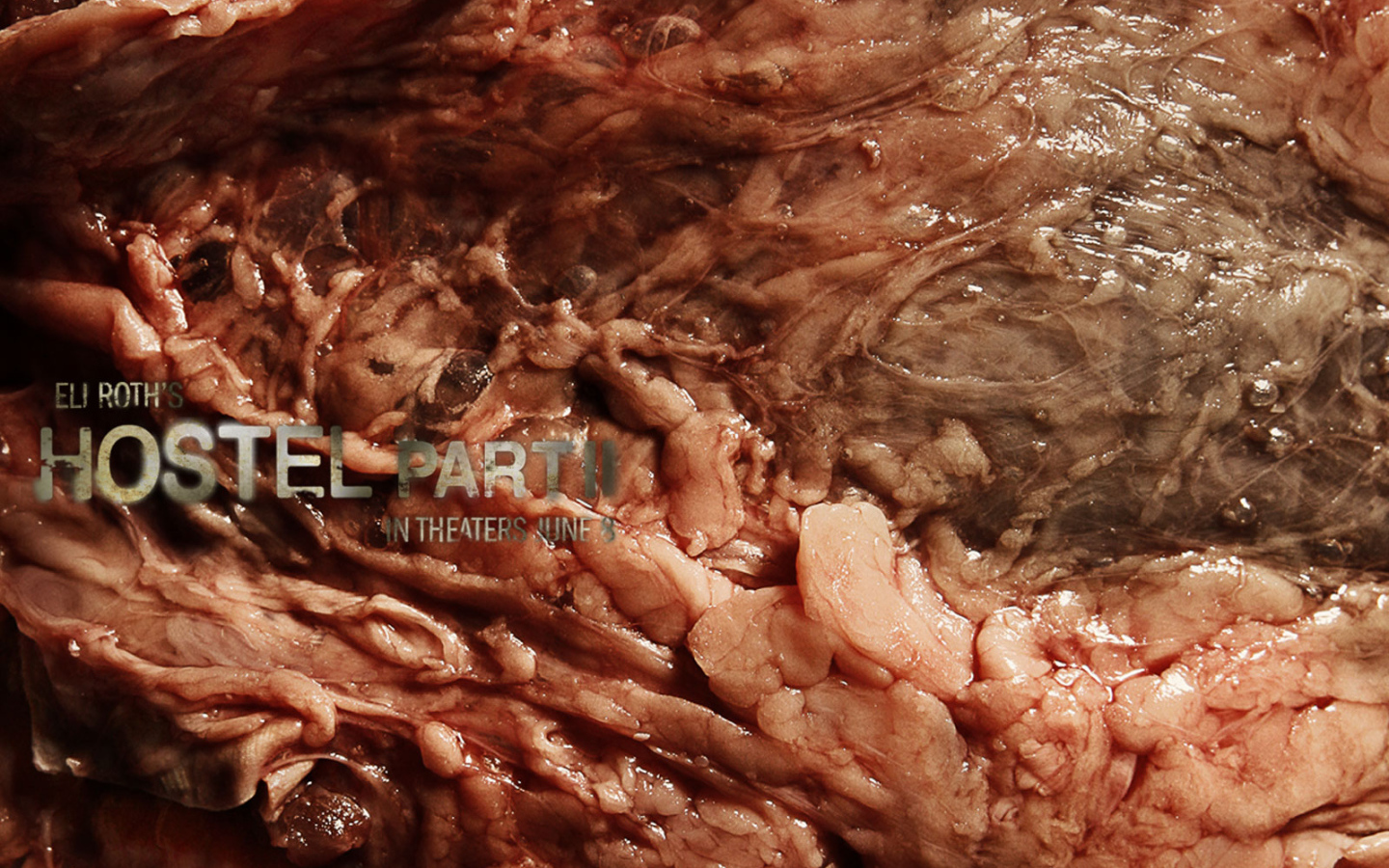 Хостел 2 / Hostel 2