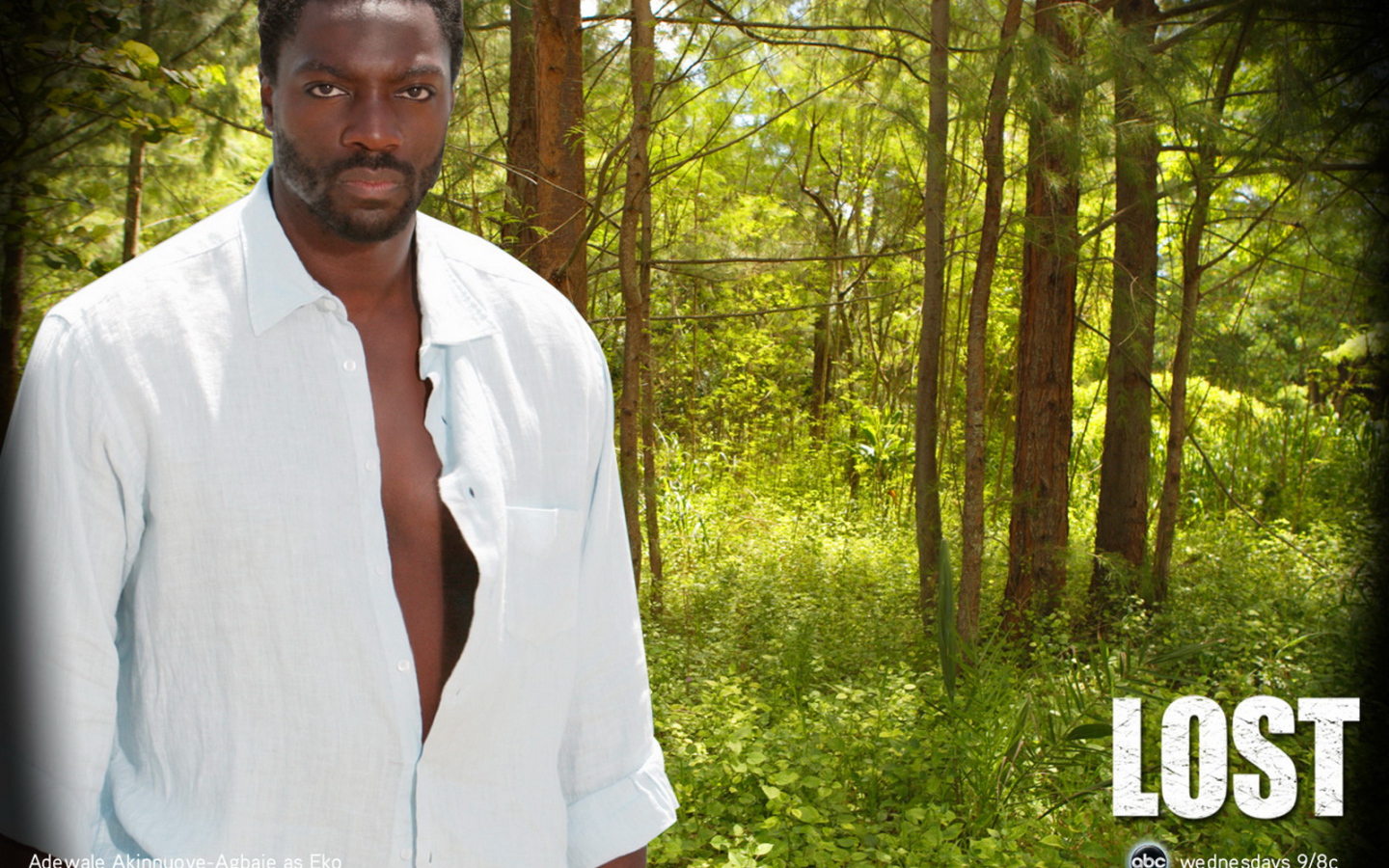 Остаться в живых / Сериал потерянные / LOST / Эко