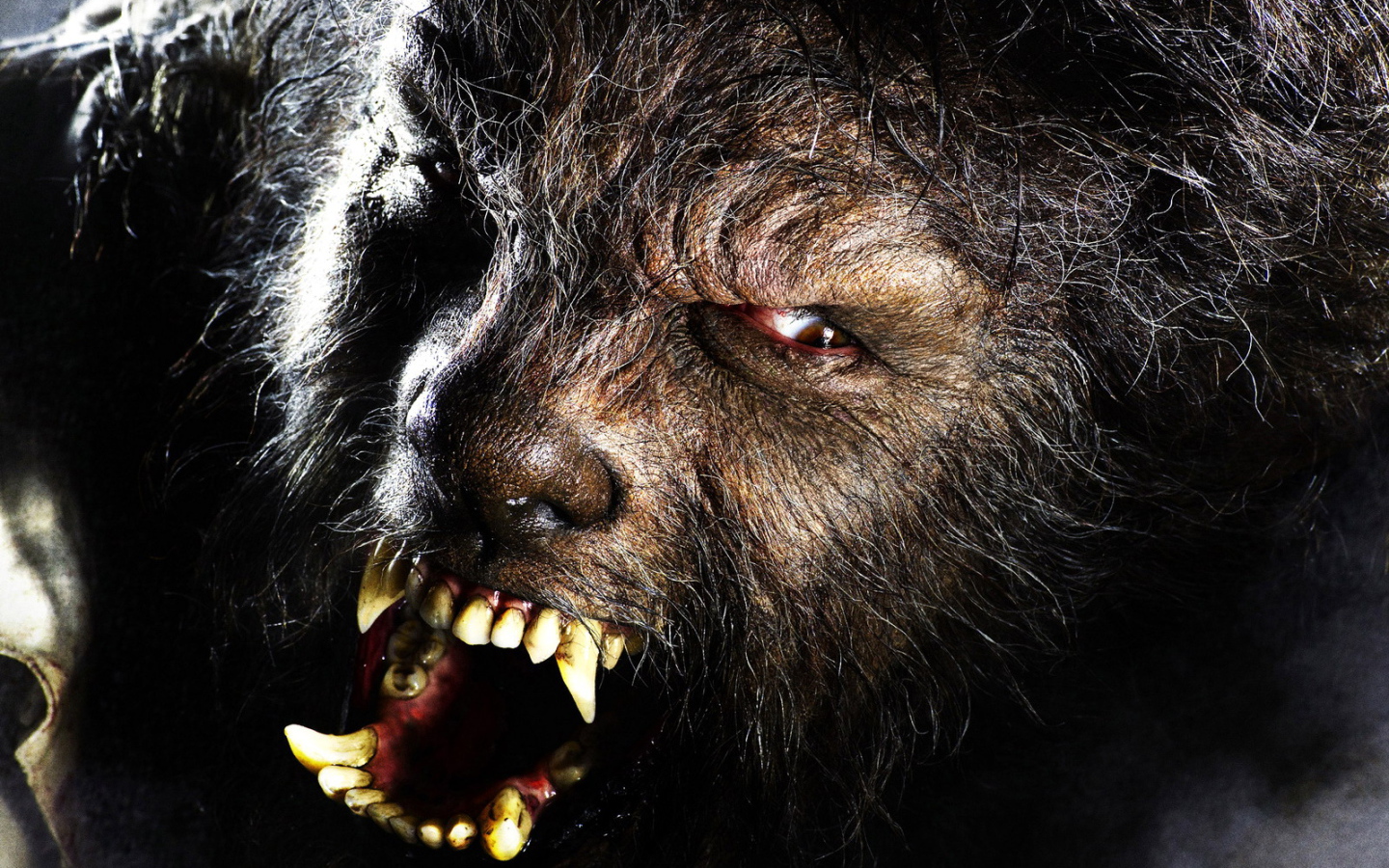 Wolf Man , The