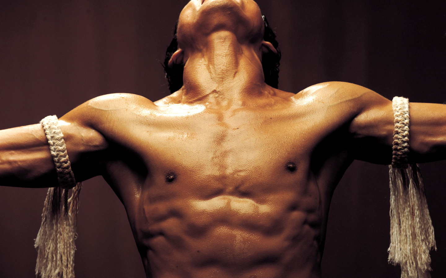 Тони джа онг бак. Тони джа онг бак 2003. Он бак поставь. Тони джа онг бак 2. Он бак поставь.