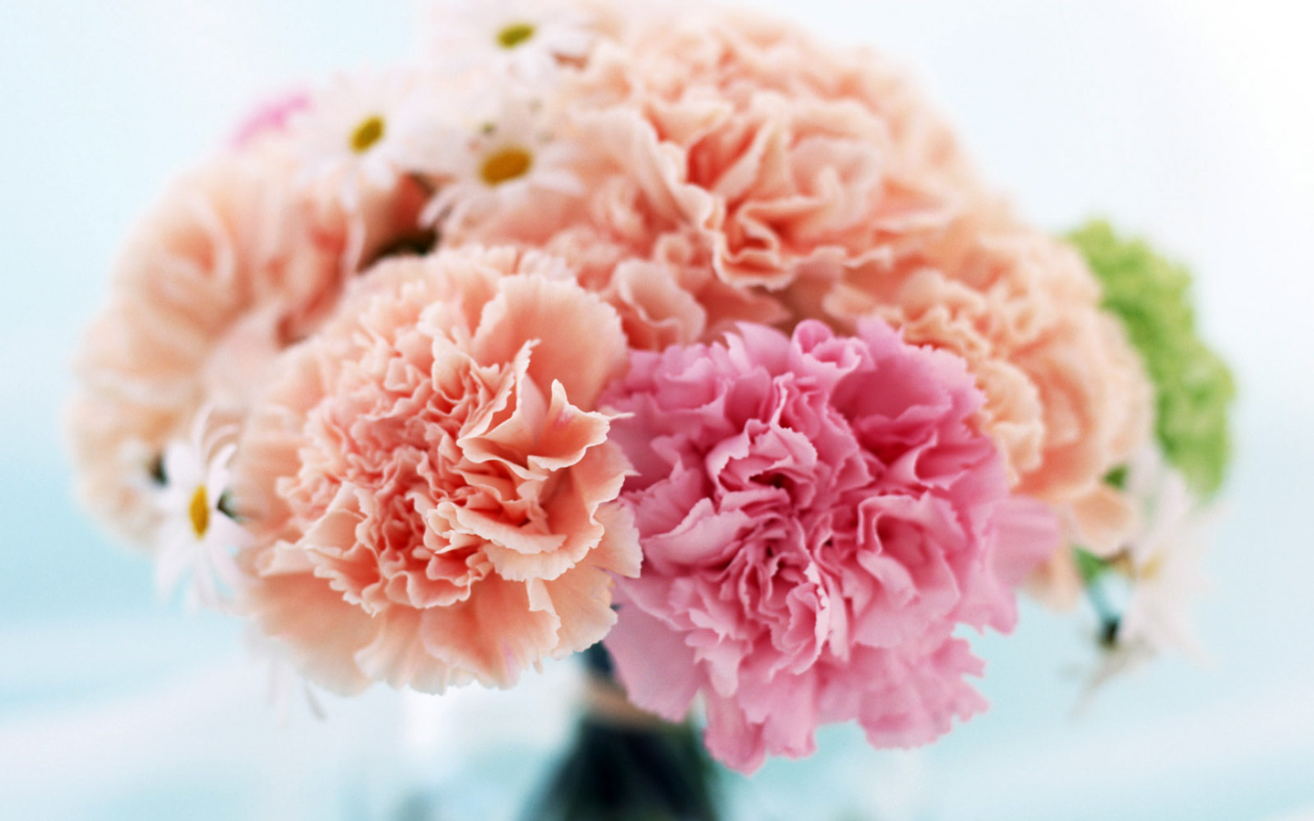 Домашний букет, Цветы