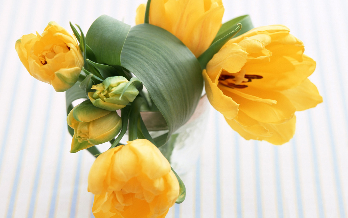 Желтые цветы