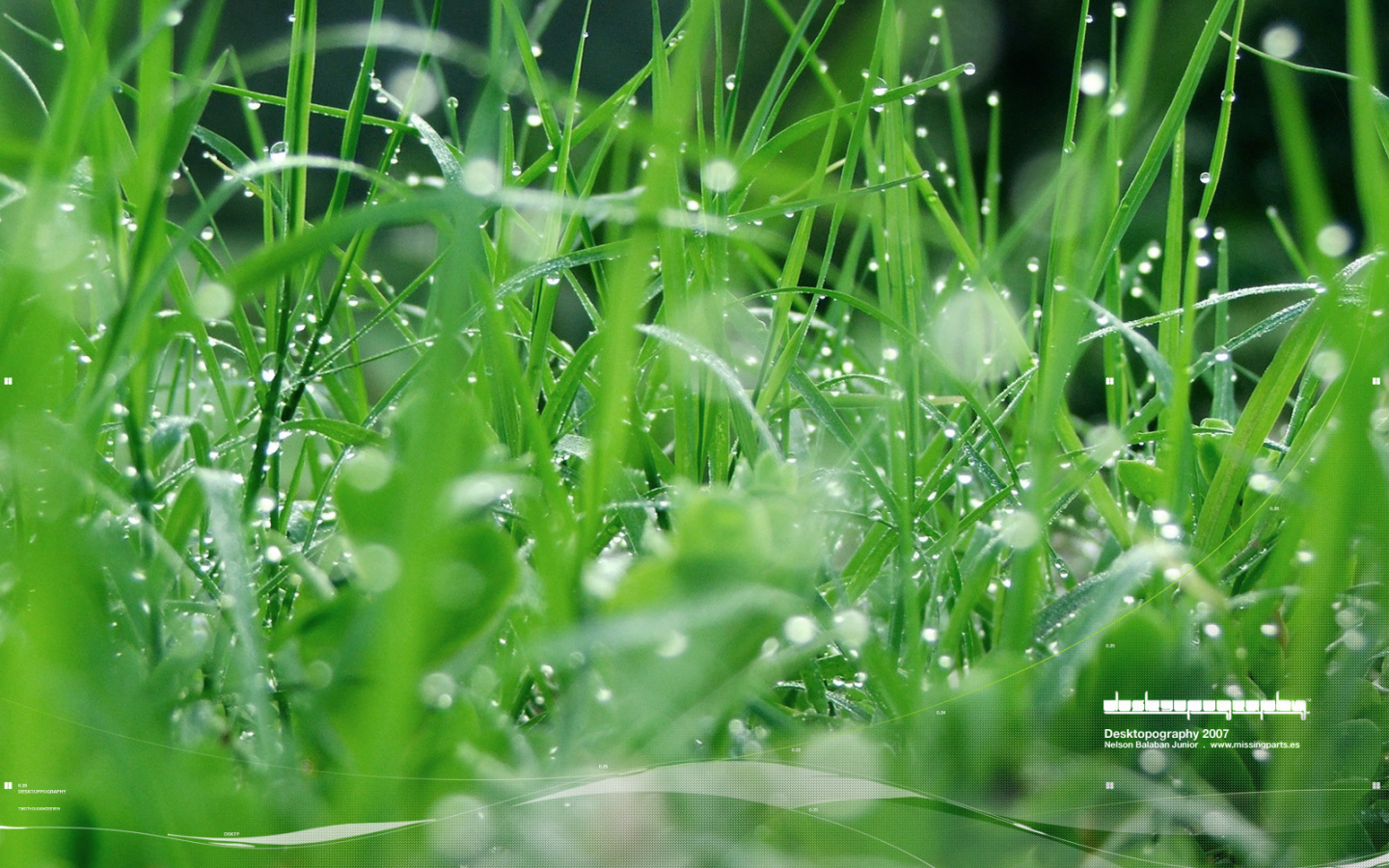 Зеленая травка