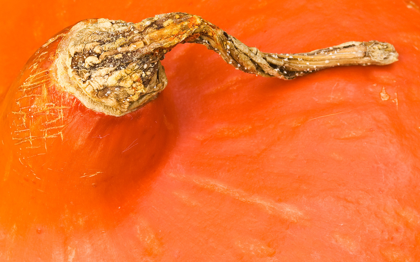 Оранжевая часть тыквы