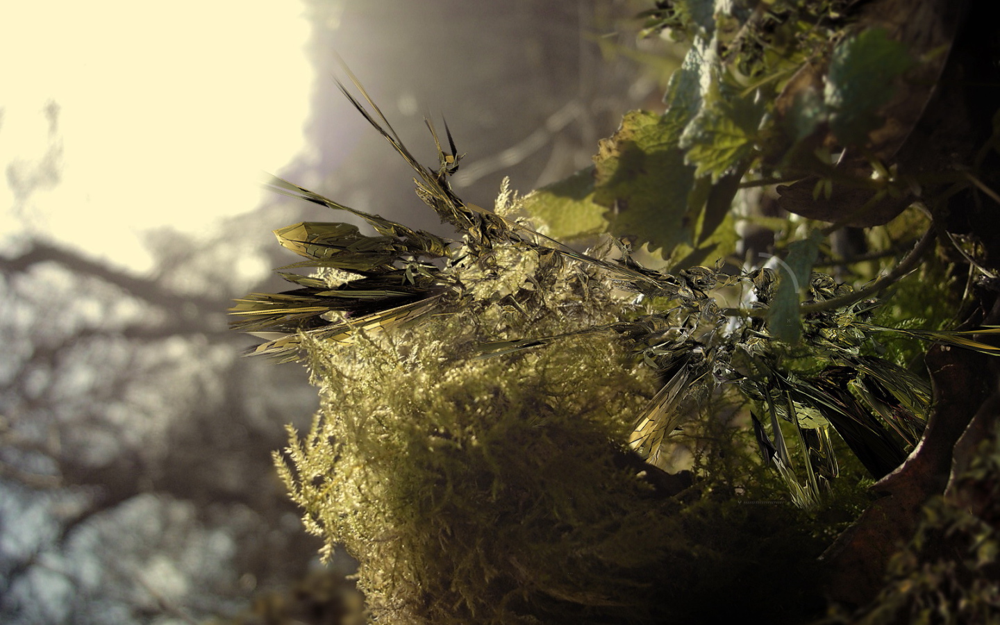 Заостренные листья