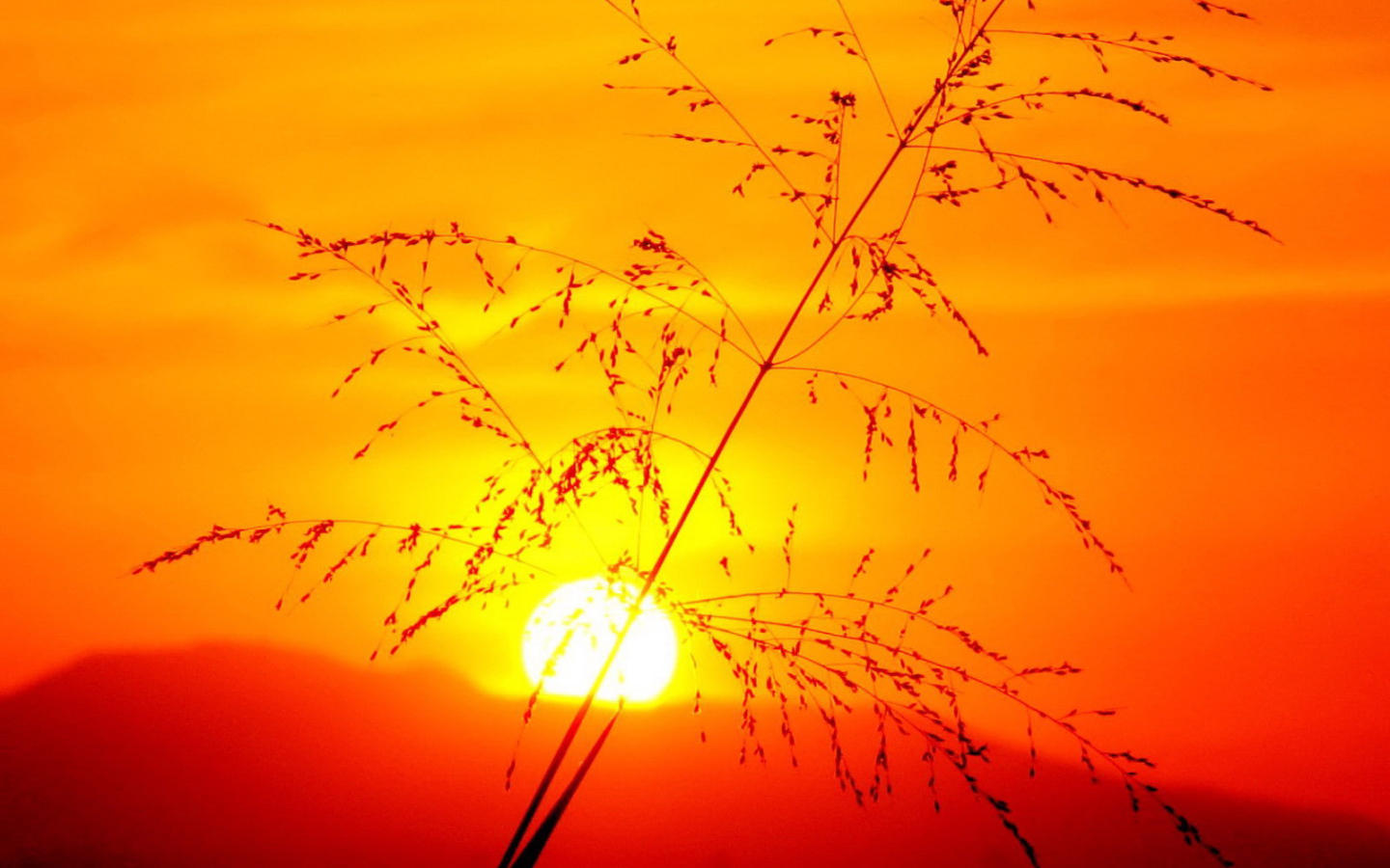 Красивый закат