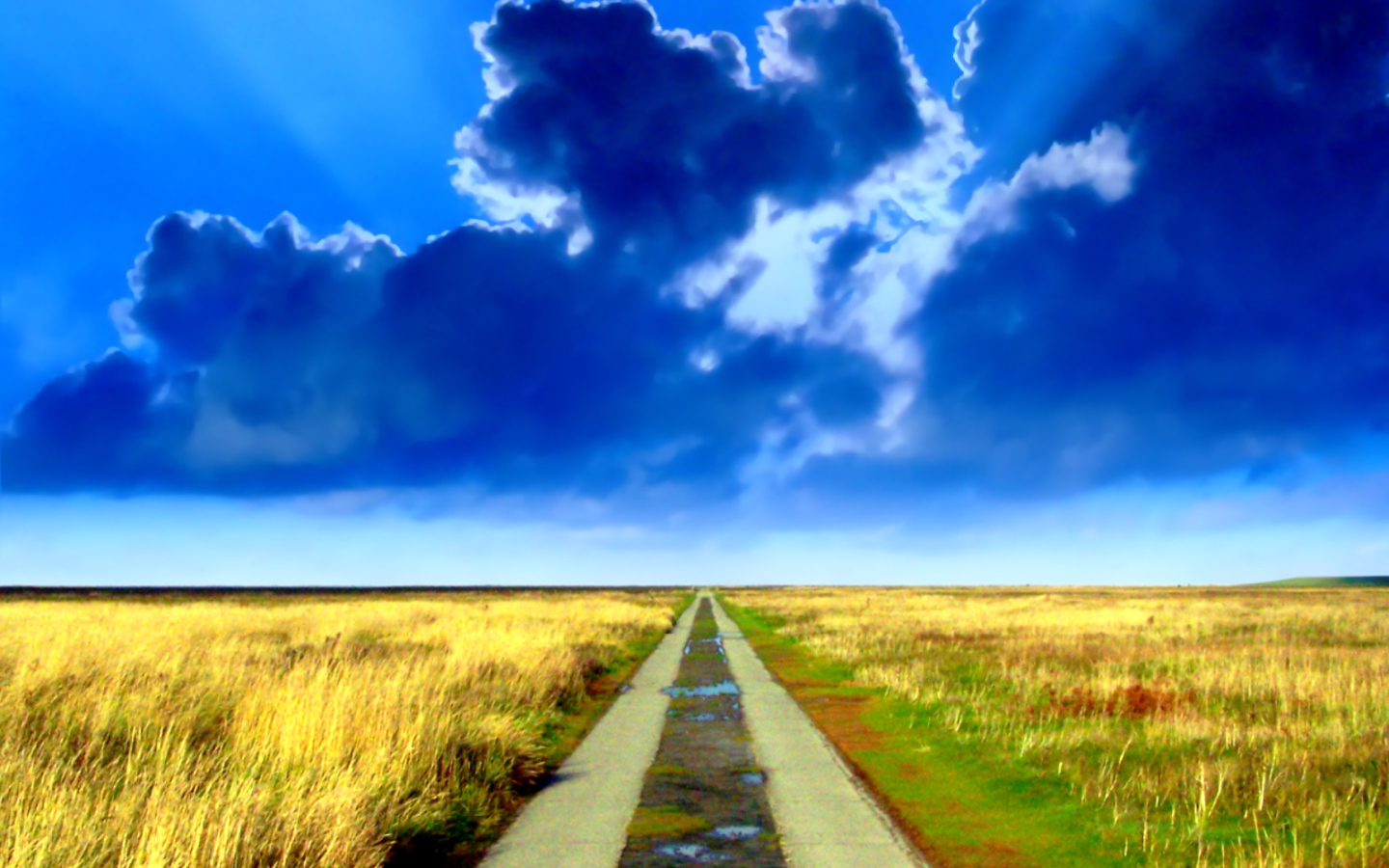 Дорога в никуда