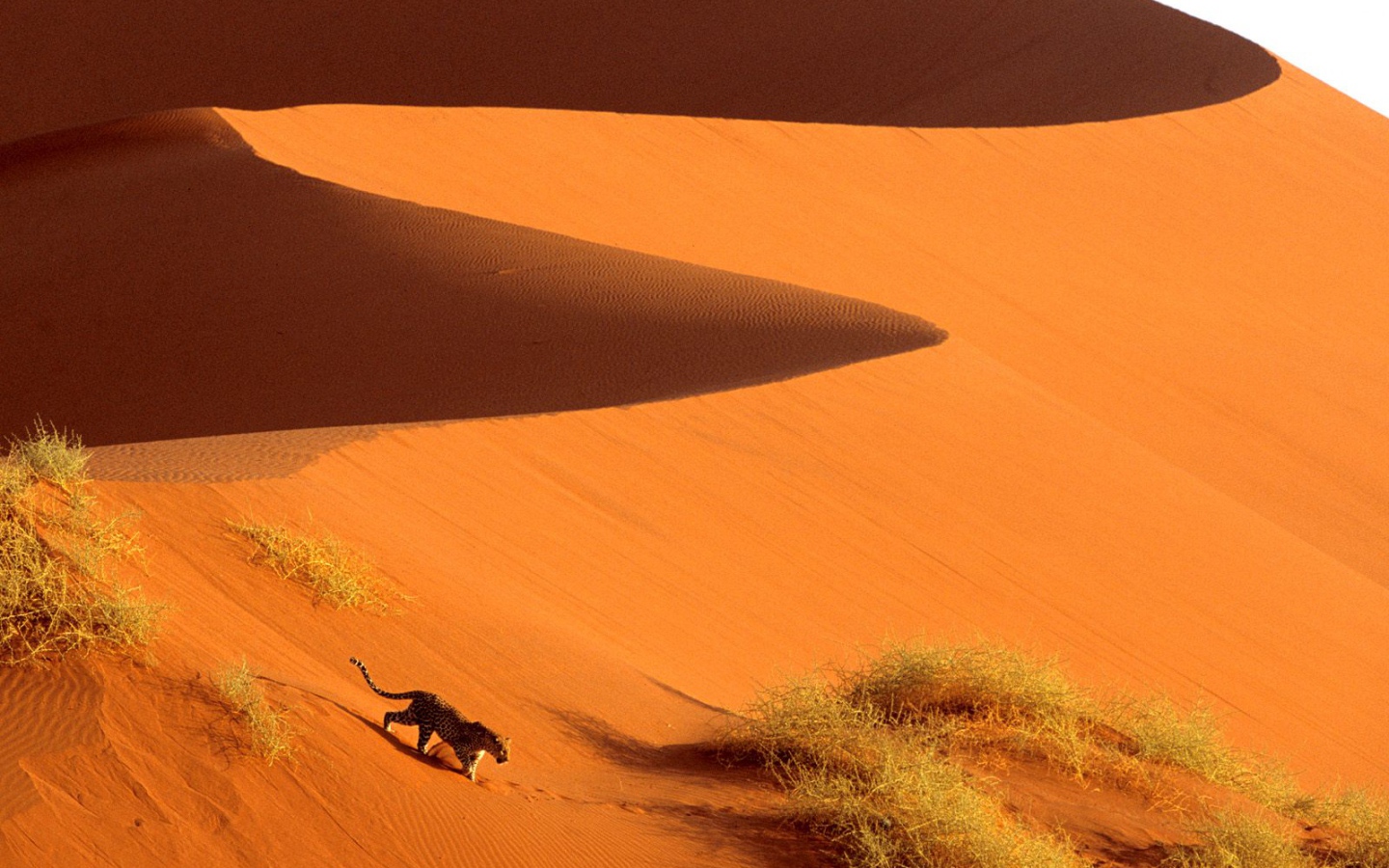 Пересечение Дюн Парка Sossusvlei / Намибия / Африка