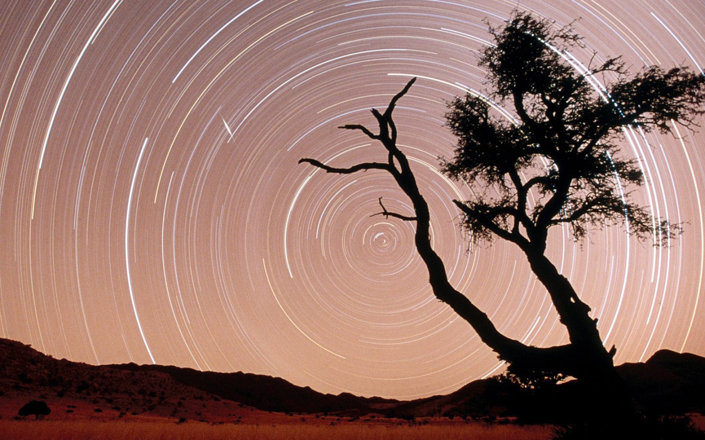 Следы Звезды / Парк Namib-Naukluft / Пустыня Намиб / Намибия / Африка