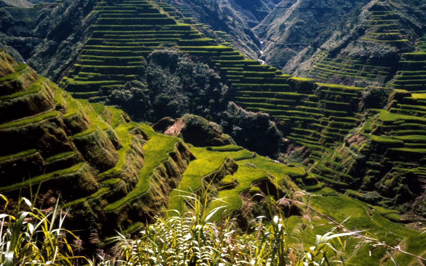 Древние Террасы Риса / Филиппины