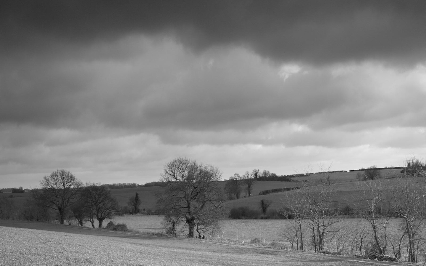 Серая страна