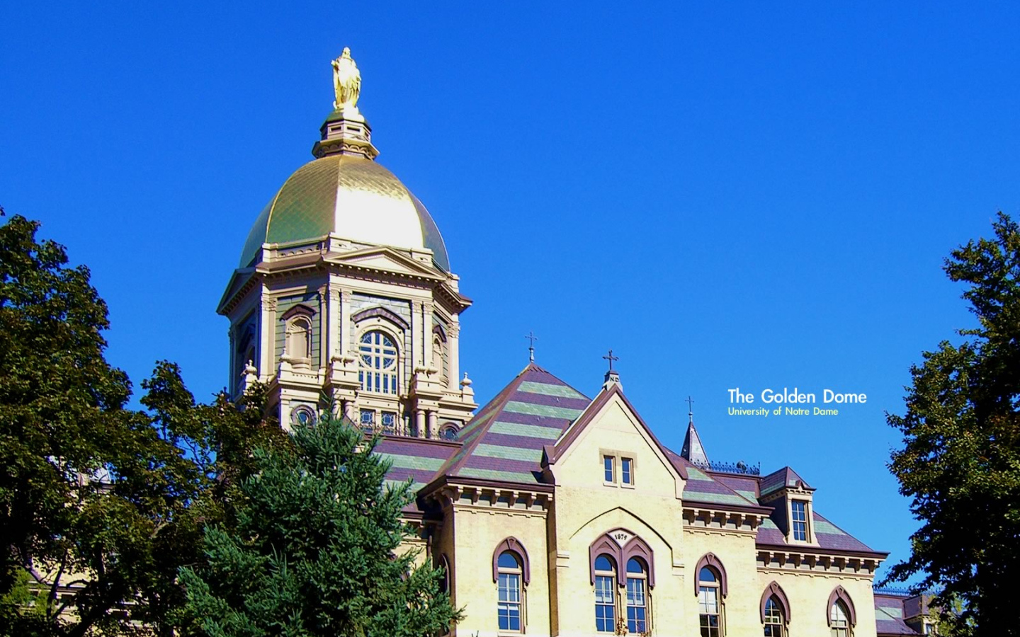 Золотой купол