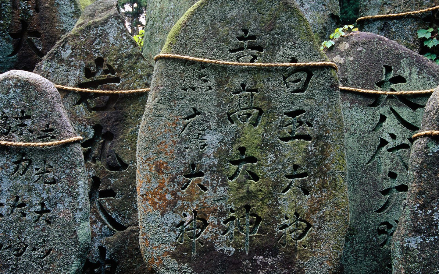 Святыня Фушими-инари Тэйшы, Киото, Япония