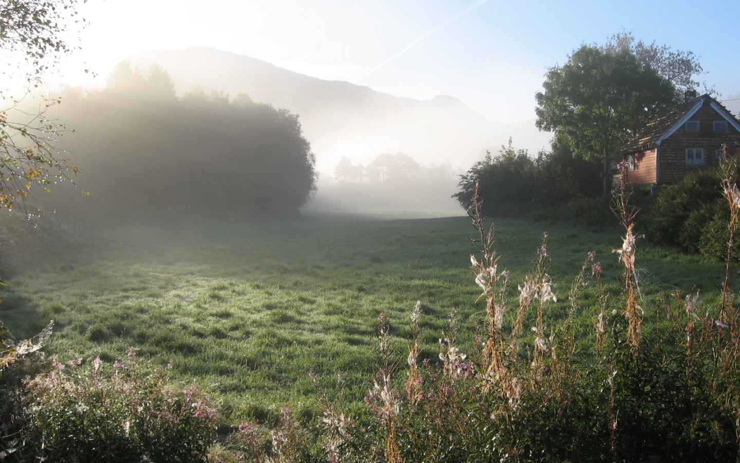 Утренний туман в Норвежской деревне