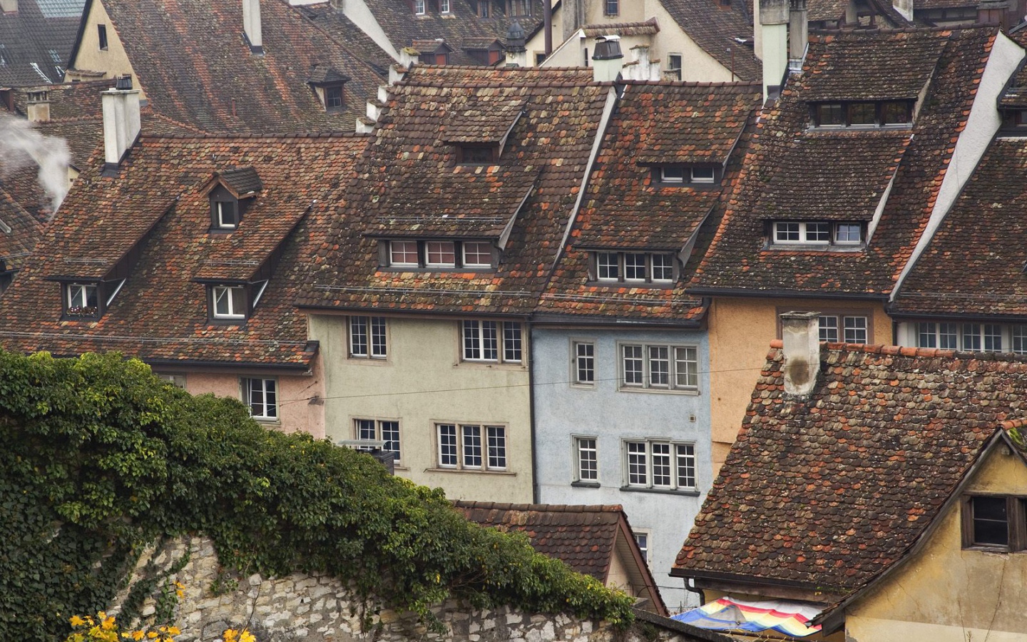 Верхушки крыш, Schaffhausen, Швейцария