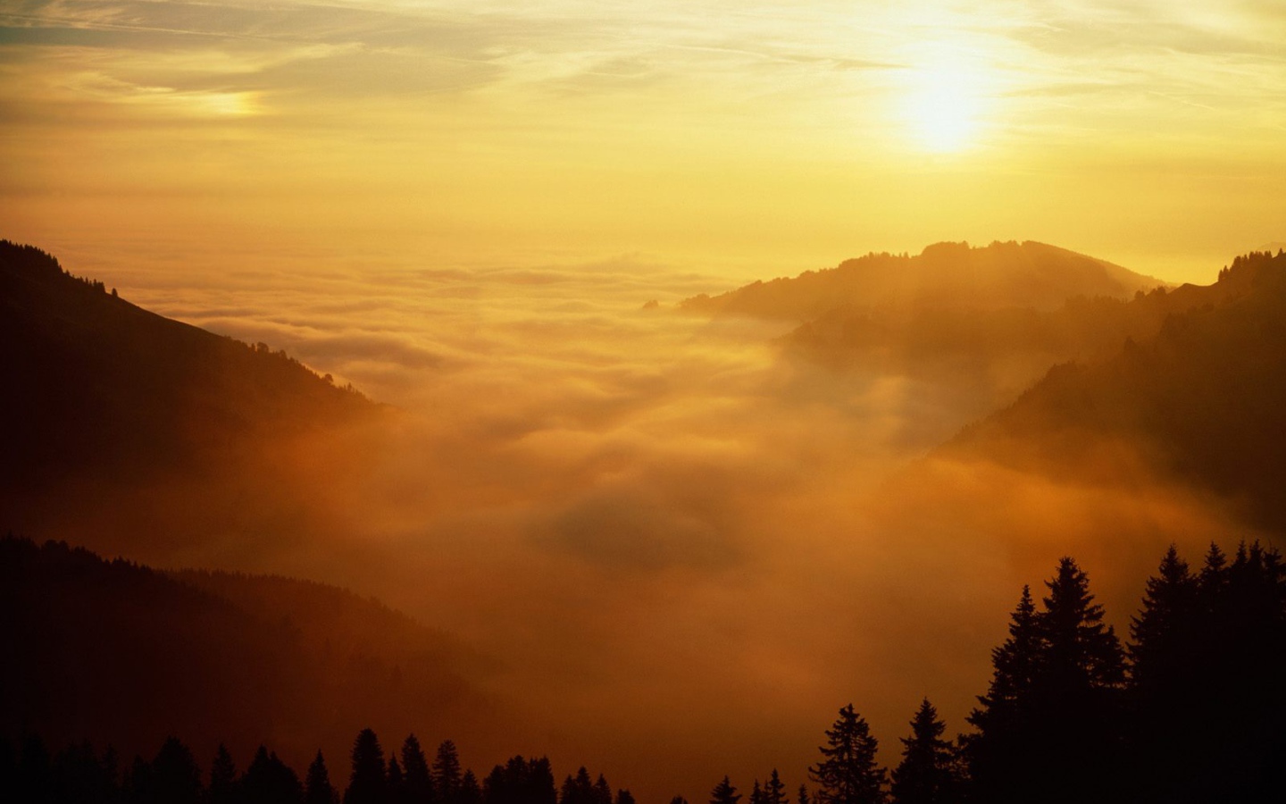 Святой Голлен, Швейцария