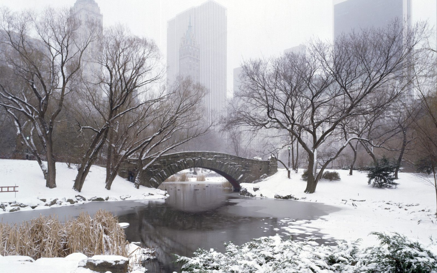 Центральный Парк НЬЮ-ЙОРК США