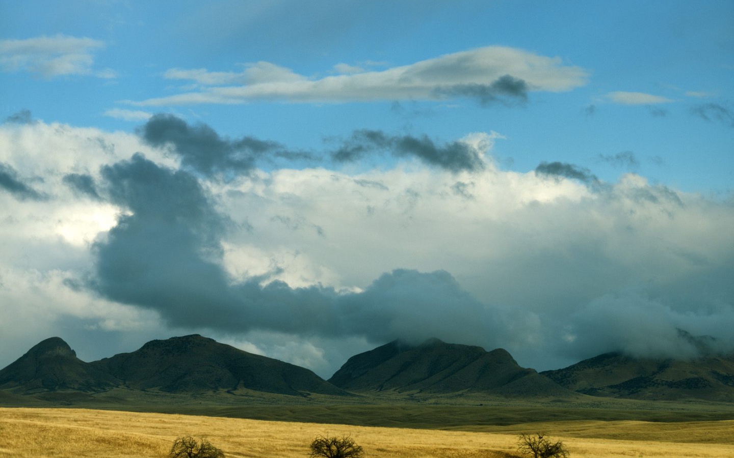 Прояснение Штормовых Облаков / Coronado Национальный Лес / Аризона / США