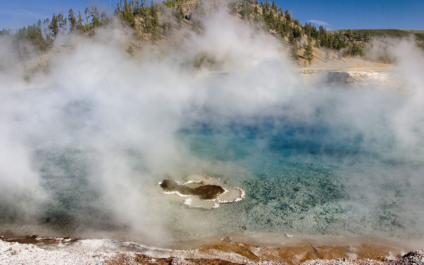 Гейзер Мягкой древесной стружки США