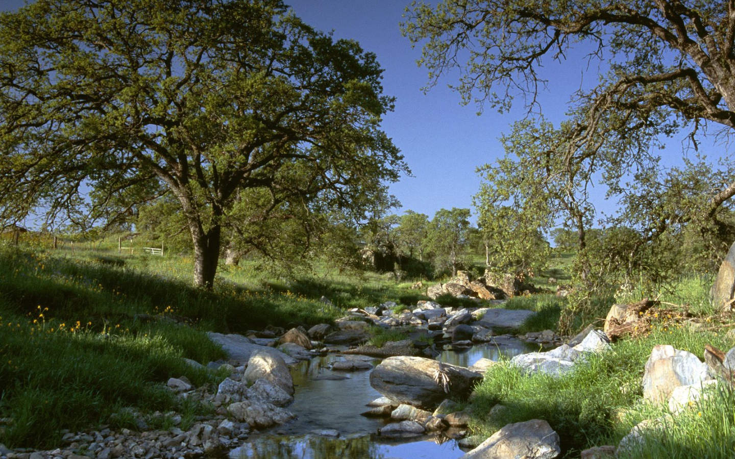 Золотая Страна / Калифорния / США
