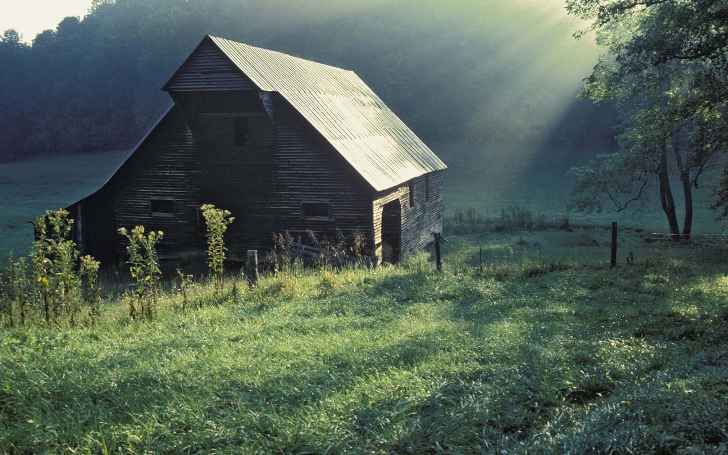 Дом в Штате Теннесси, США