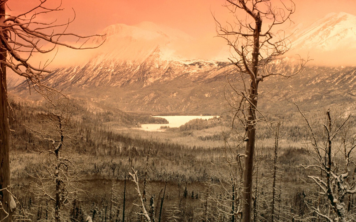 Охваченный зимой