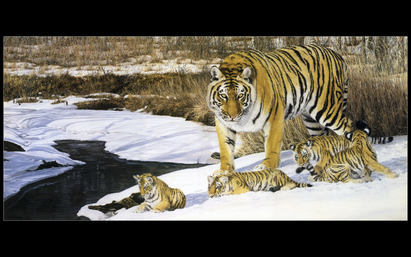 Полосатые тигры