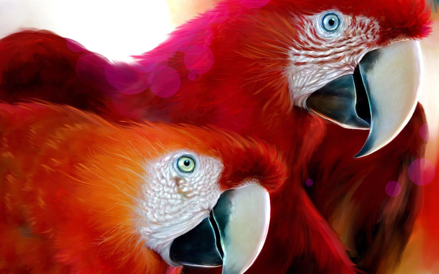 Красные попугаи